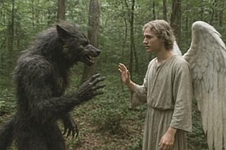 Forest communion'