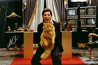 Say hello to his little friend!'