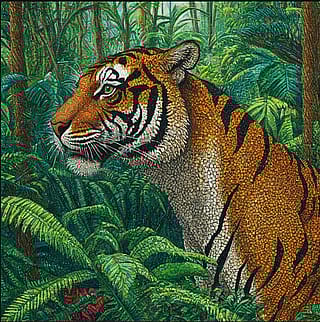 Cool tiger in a rainforest'