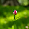 next post