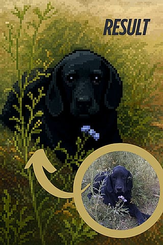 I created pixel portrait of my pet'
