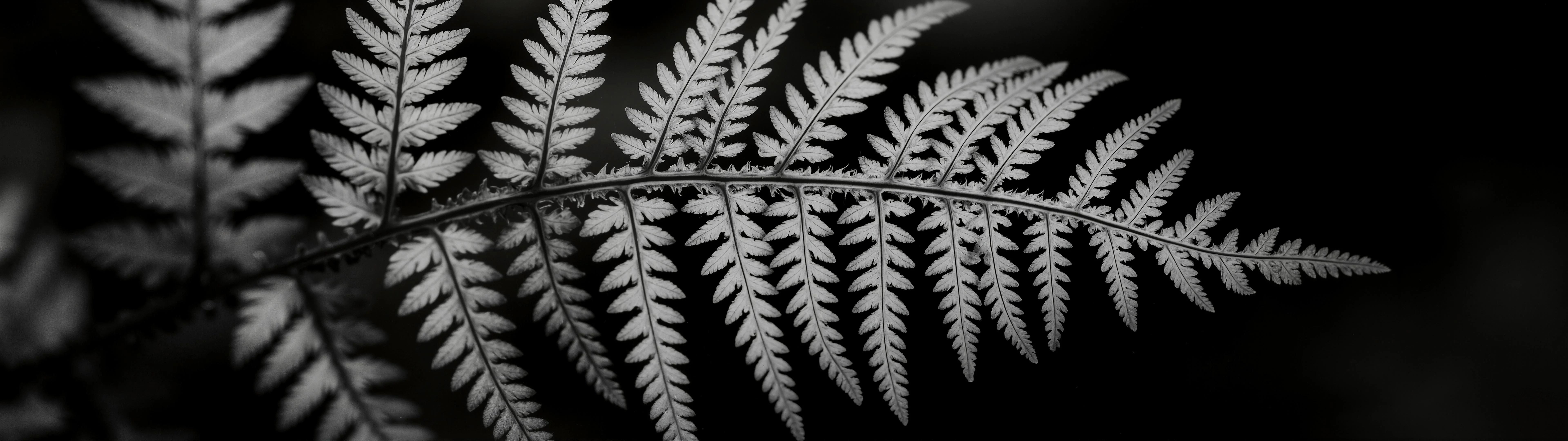 Wallpaper weekly drop 06/29 (21:9 & 32:9) [7680x2160] - Flux picture 3 of 20