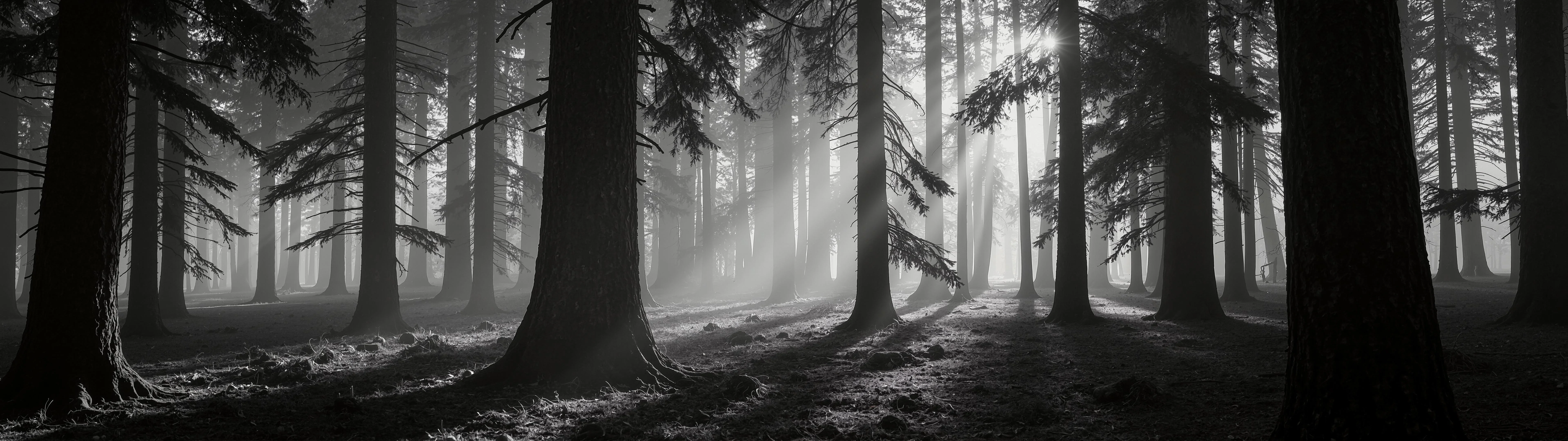 Wallpaper weekly drop 06/29 (21:9 & 32:9) [7680x2160] - Flux picture 6 of 20