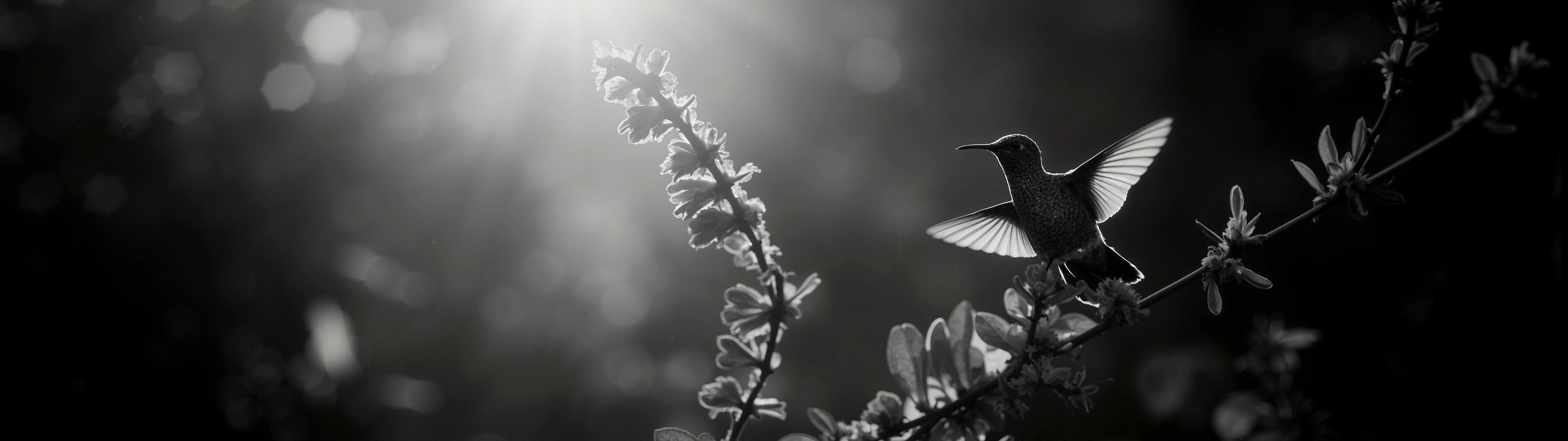 Wallpaper weekly drop 06/29 (21:9 & 32:9) [7680x2160] - Flux picture 12 of 20