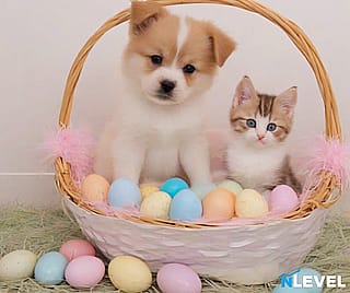 A furry bundle of joy!'