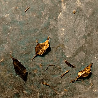 The Last Leaves Before Silence'