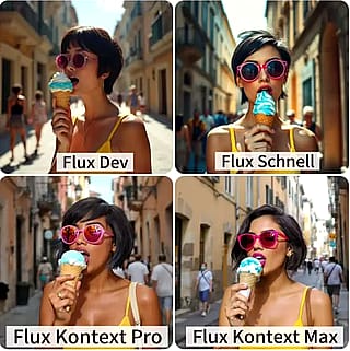 Test the Flux models'