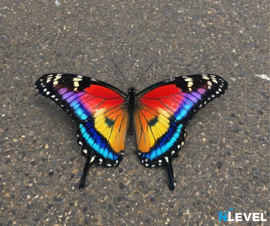 Beautiful butterfly picture 1 of 1