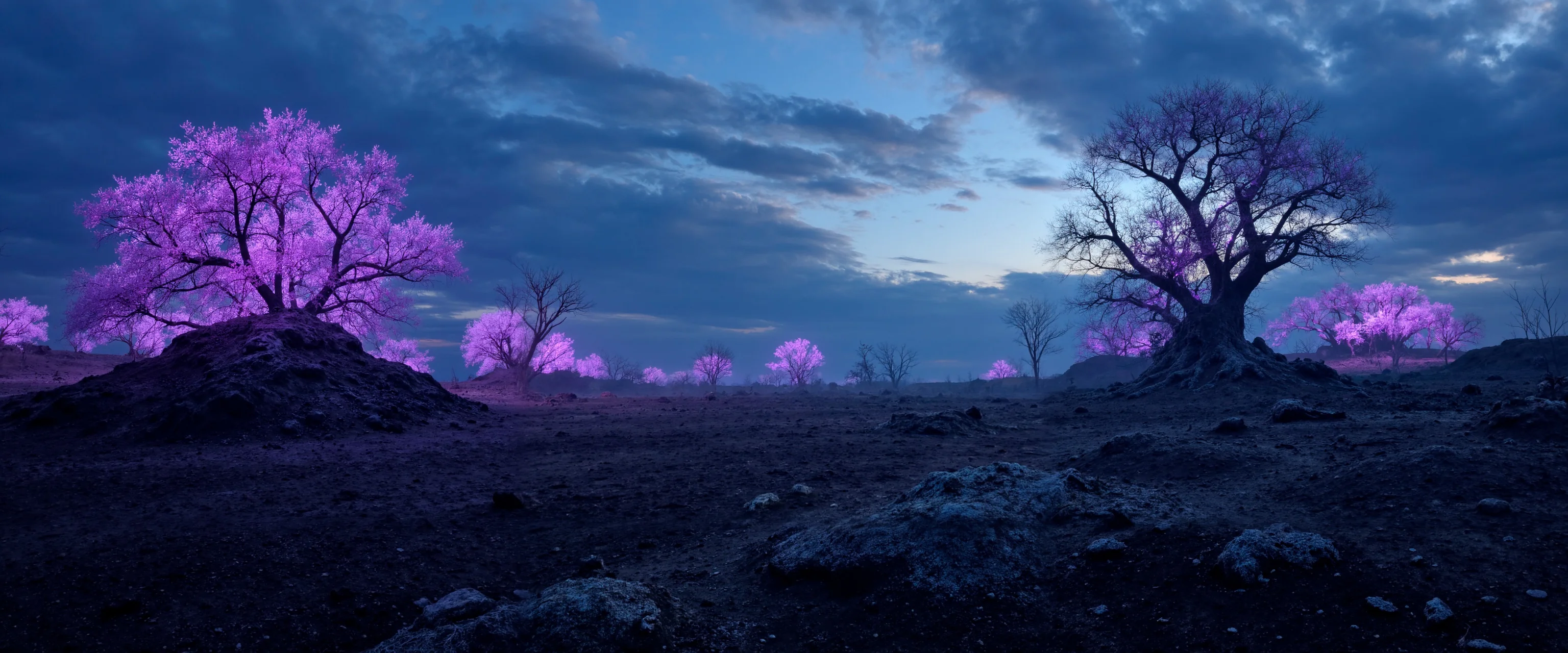 Places I'll never be able to visit picture 4 of 20