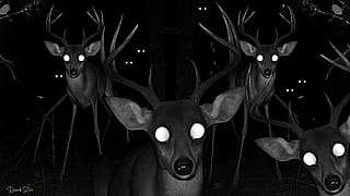 Fun with spider-deers'