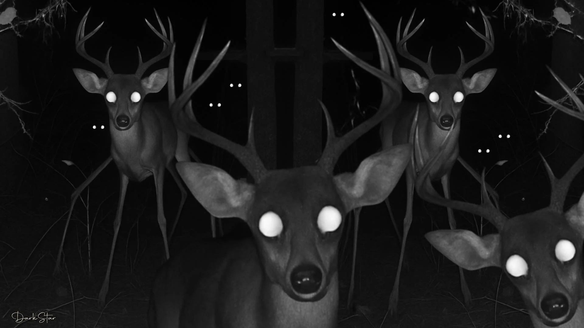 Fun with spider-deers picture 1 of 2