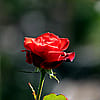 next post