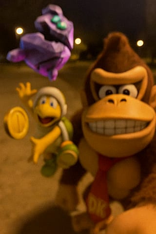 Donkey Kong And Friends Selfie'