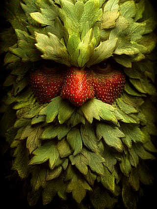 🍓 The Strawberry Man 🍓'