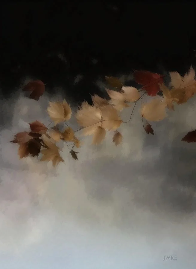 Fall Leaves 10, John Emmett, 2025 picture 1 of 1