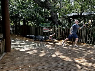 do not go to an alligator farm'