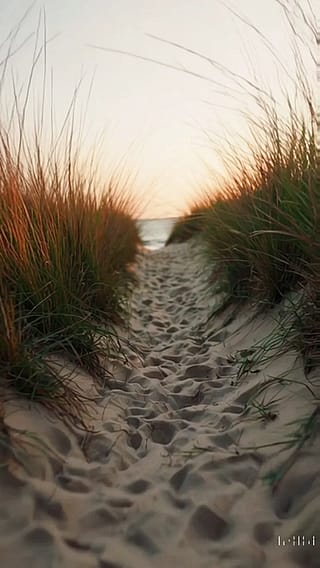 Bridal at the Beach'