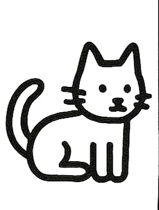 A simple cat'