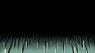 Empty Forest'