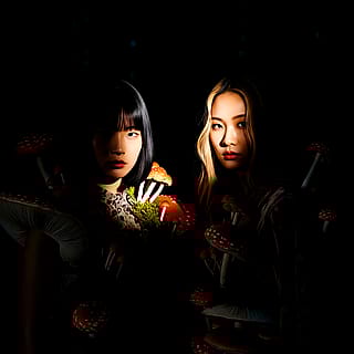 cover for the upcoming album of my AI kpop duo'