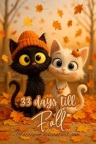 Countdown to Cozy'