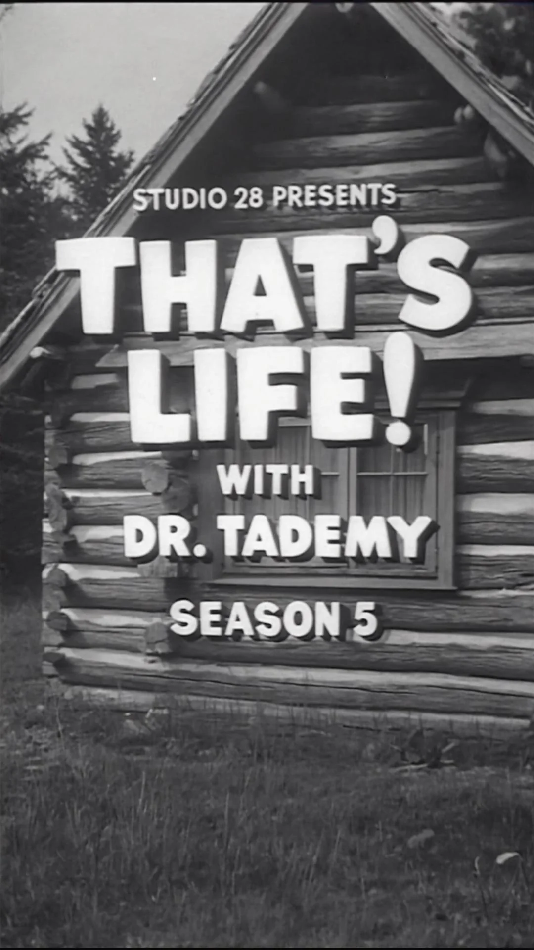 Season 1-10 Covers for That’s Life! With Dr. Tademy picture 4 of 10