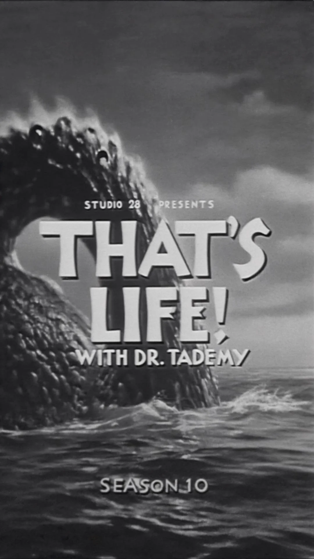 Season 1-10 Covers for That’s Life! With Dr. Tademy picture 5 of 10