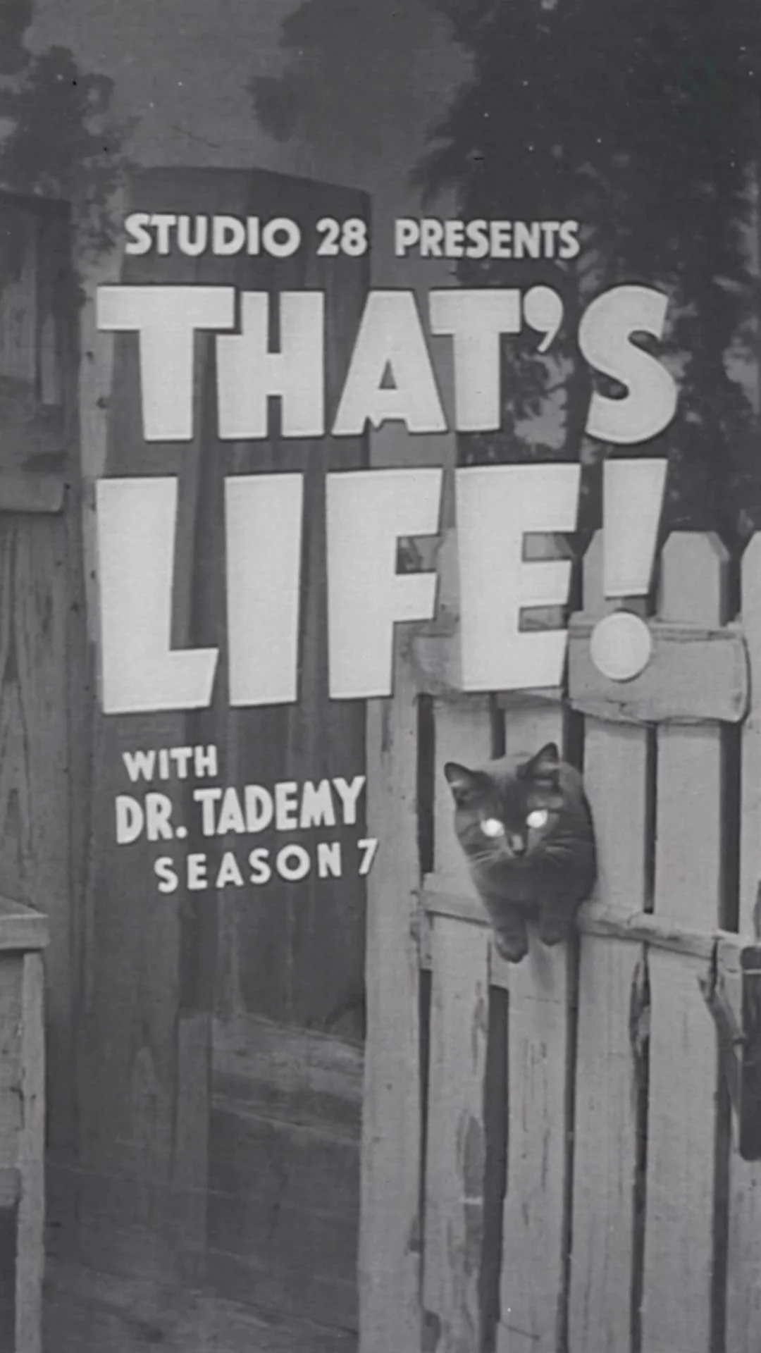 Season 1-10 Covers for That’s Life! With Dr. Tademy picture 7 of 10