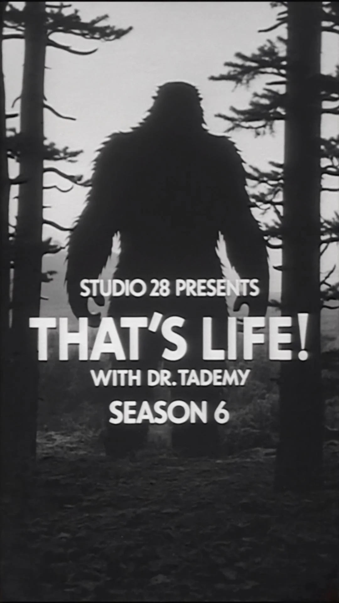 Season 1-10 Covers for That’s Life! With Dr. Tademy picture 9 of 10