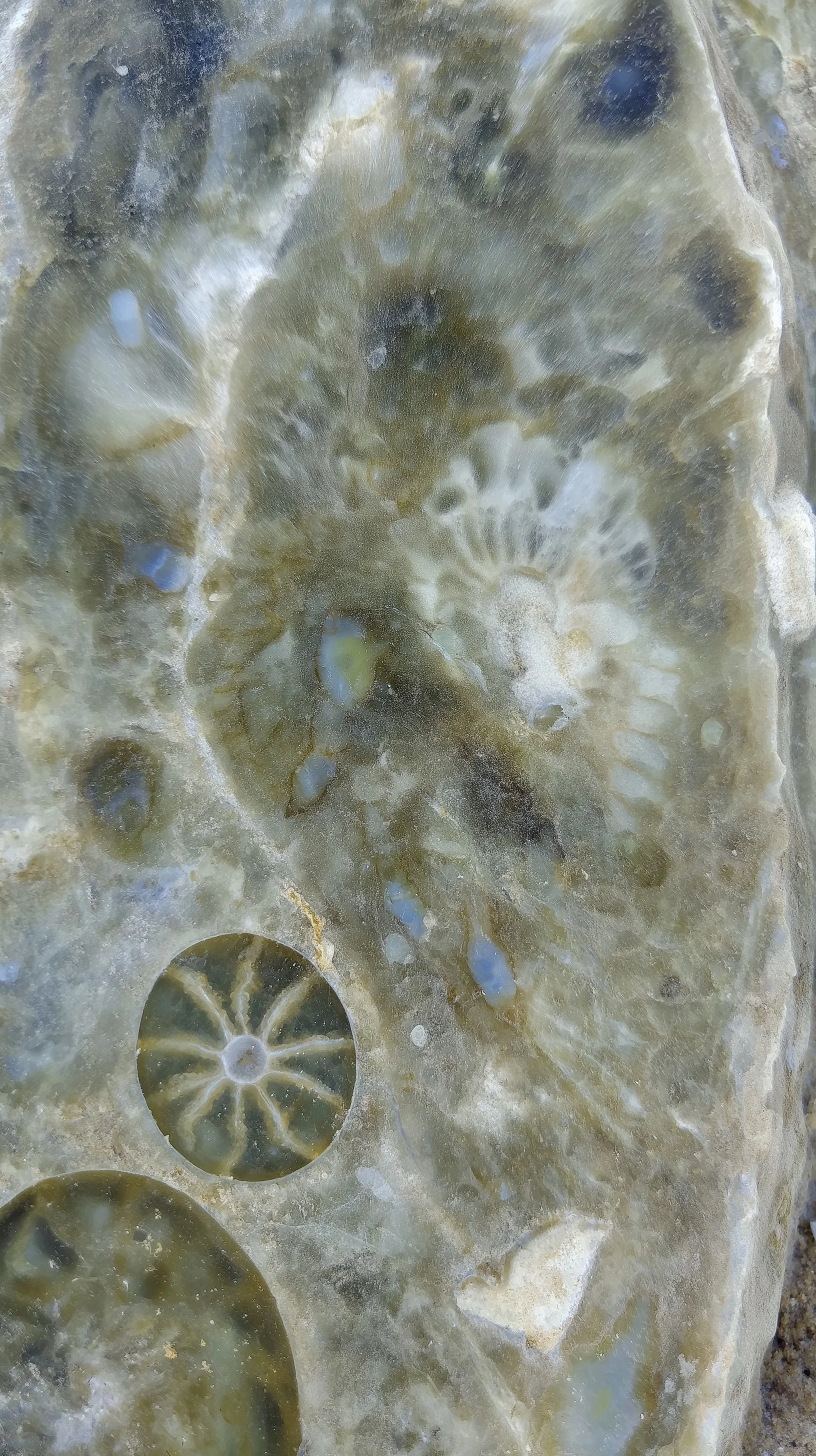 Testing a mood board I made with 100+ pictures I took of rocks picture 11 of 20