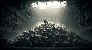 Rise'