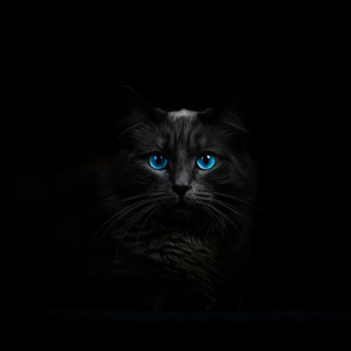 Midnight Blue picture 1 of 1