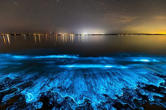Started making a series of bioluminescent caves, ended up here. Keep swiping for caves. picture 2 of 6