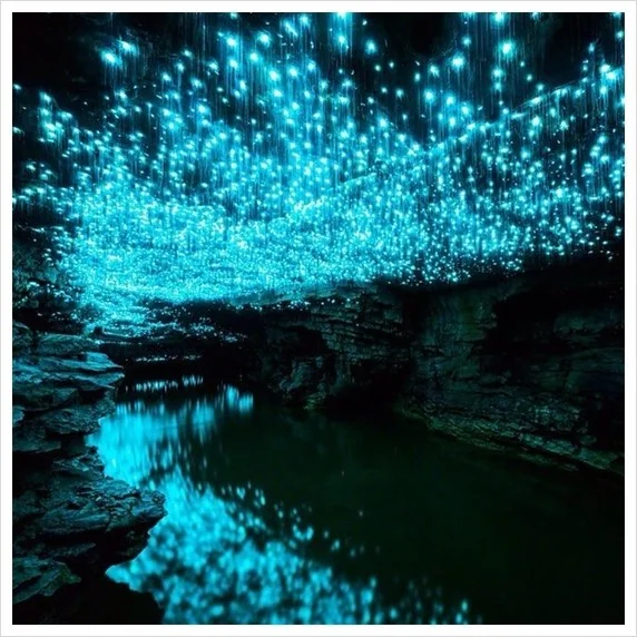 Started making a series of bioluminescent caves, ended up here. Keep swiping for caves. picture 4 of 6